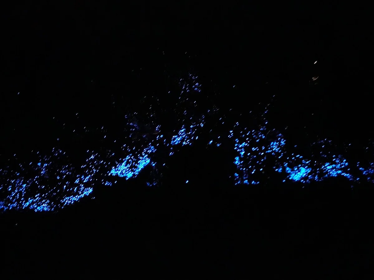 Oleaje bioluminiscente en Paraparaumu, Nueva Zelanda