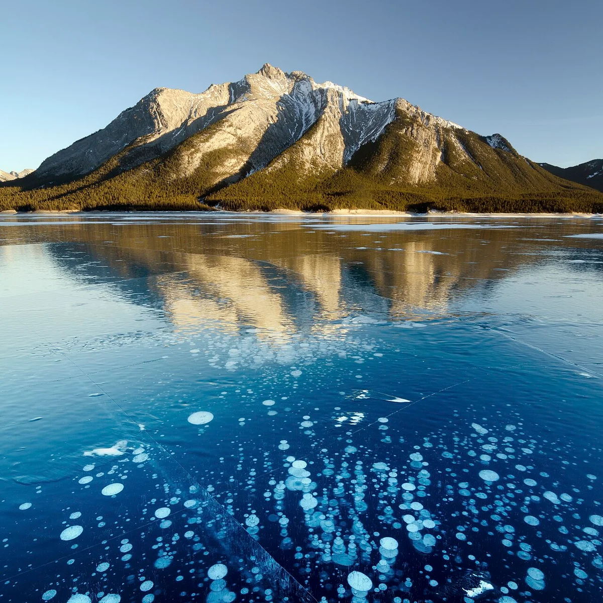 Burbujas en el hielo del lago Abraham, Alberta