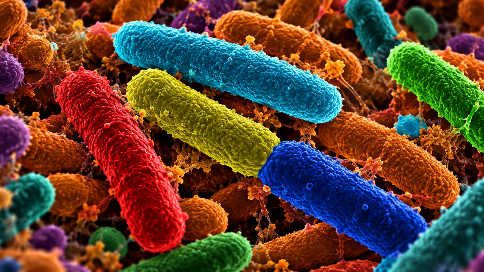 Illustration scientifique par IA de microbes colorés en forme de bâtonnets dans un paysage évoquant la microscopie